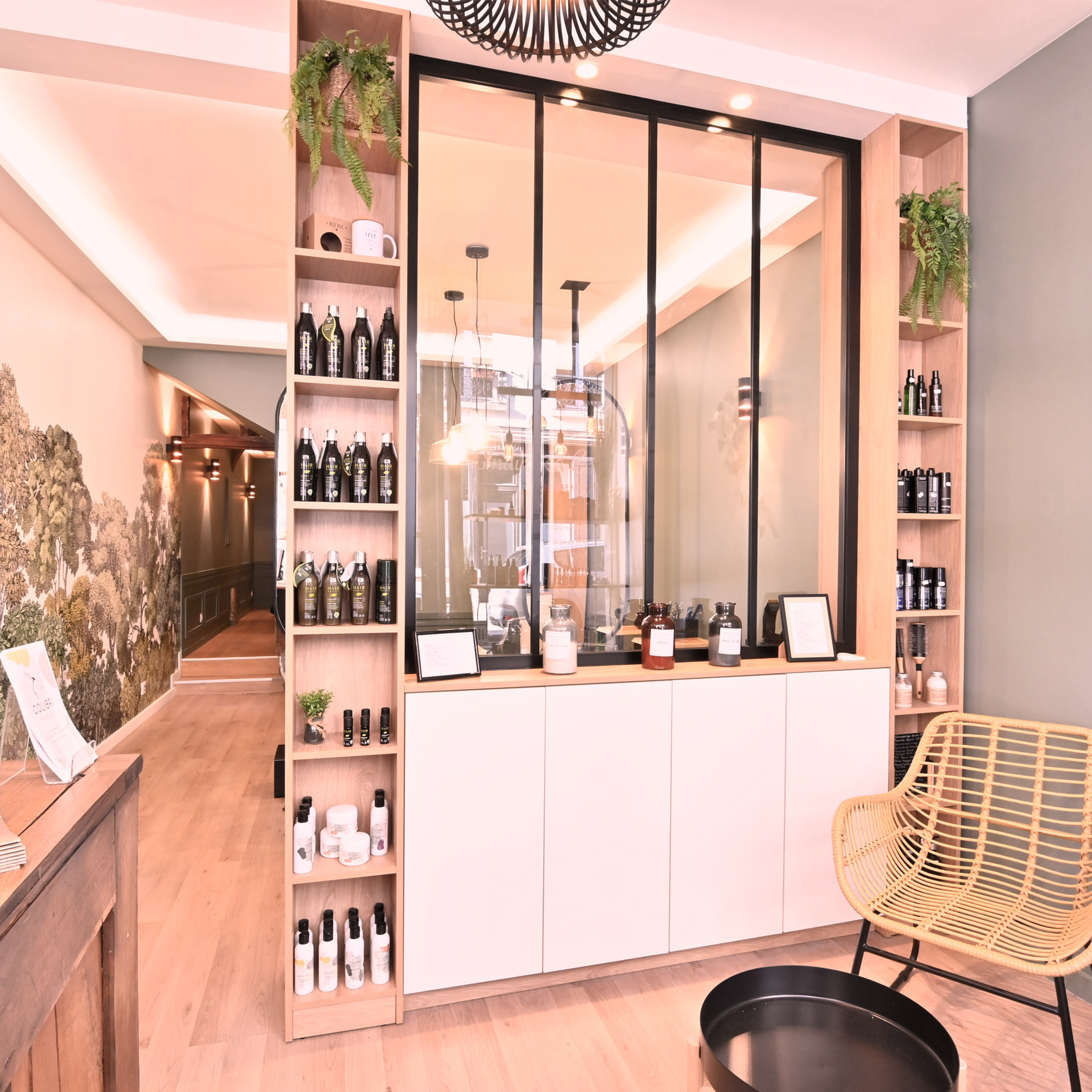 Salon de Coiffure0392 couleur 2