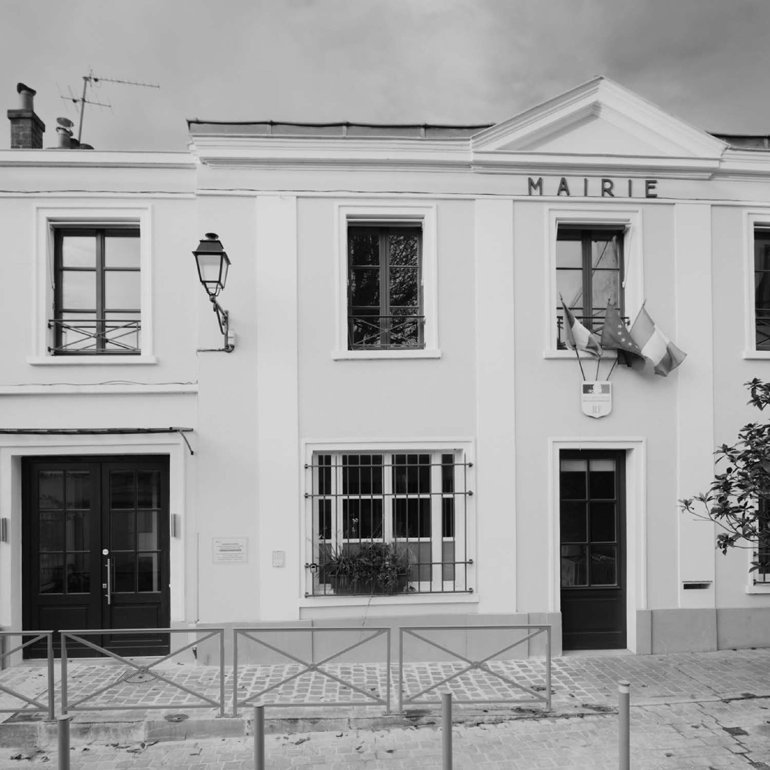 Projets Professionnels